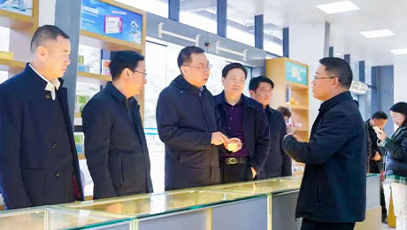 依法服务保障企业更好发展，陇南中院院长万建军赴独一味制药调研指导