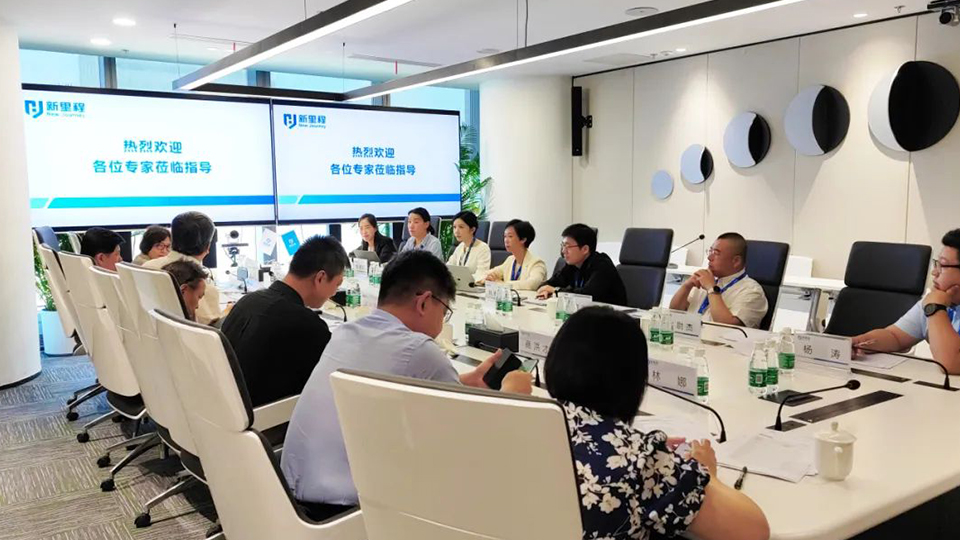 k8凯发天生赢家健康集团制药板块医学专家顾问咨询会成功召开