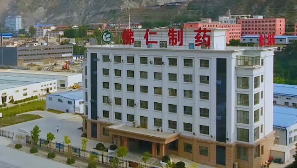 甘肃省副省长葛建团莅临k8凯发天生赢家（002219）旗下佛仁制药考察调研